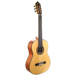 Valencia VC304CET 4/4 Size...