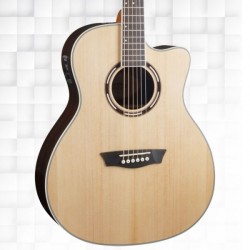 WASHBURN APPRENTICE AG70CE...